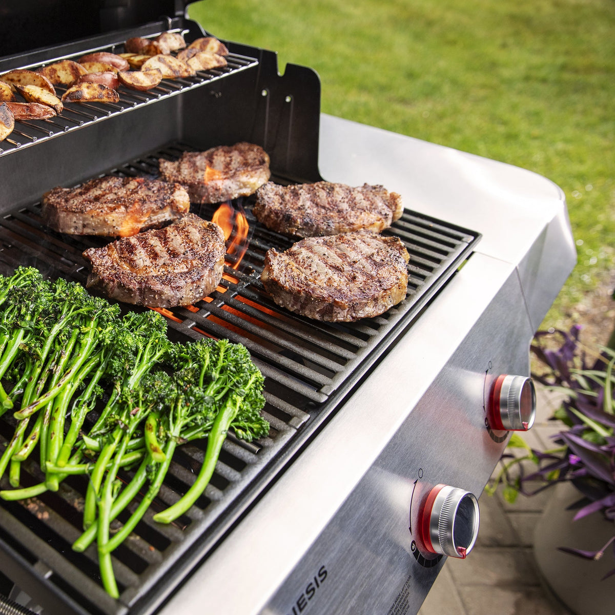 Weber Genesis E-315 Gas Grill (Natural Gas)