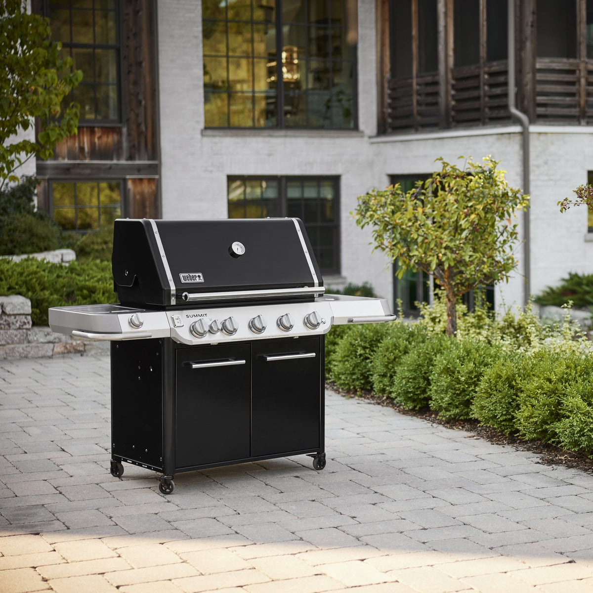 Weber Summit® FS38 E Gas Grill (Liquid Propane)