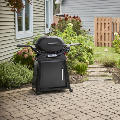 Weber Q 2800N+ Gas Grill with Stand (Liquid Propane)