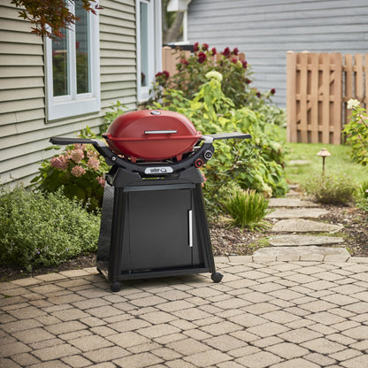 Weber Q 2800N+ Gas Grill with Stand (Liquid Propane)