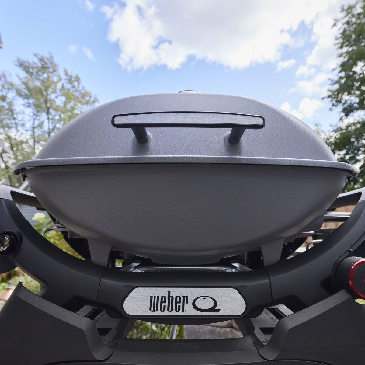 Weber Q 2800N+ Gas Grill (Liquid Propane)