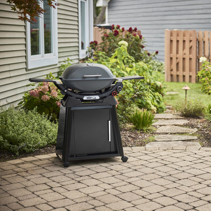 Weber Q 2800N+ Gas Grill with Stand (Liquid Propane)