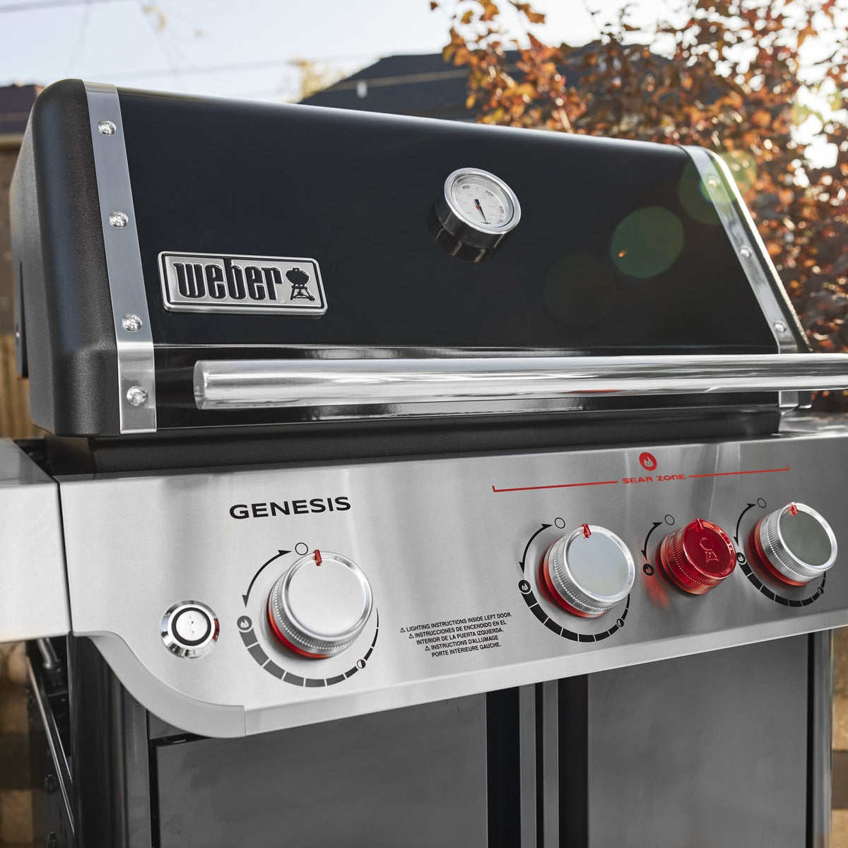 Weber Genesis E-325s Gas Grill — Black (Liquid Propane)