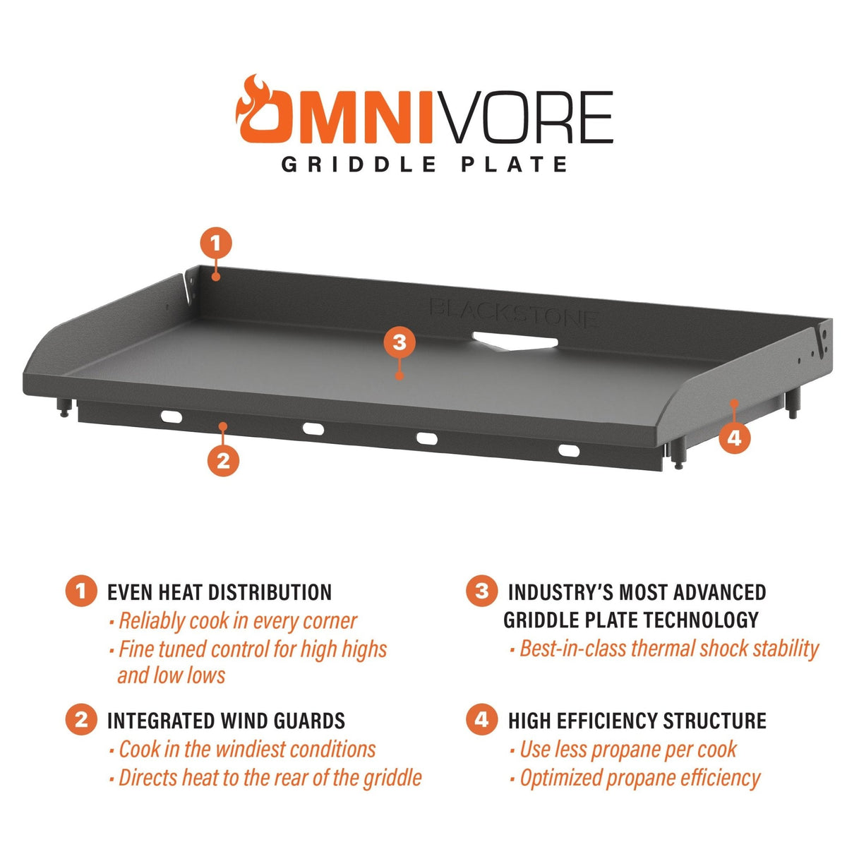Blackstone 28" Built-in Griddle with Hood (Propane)