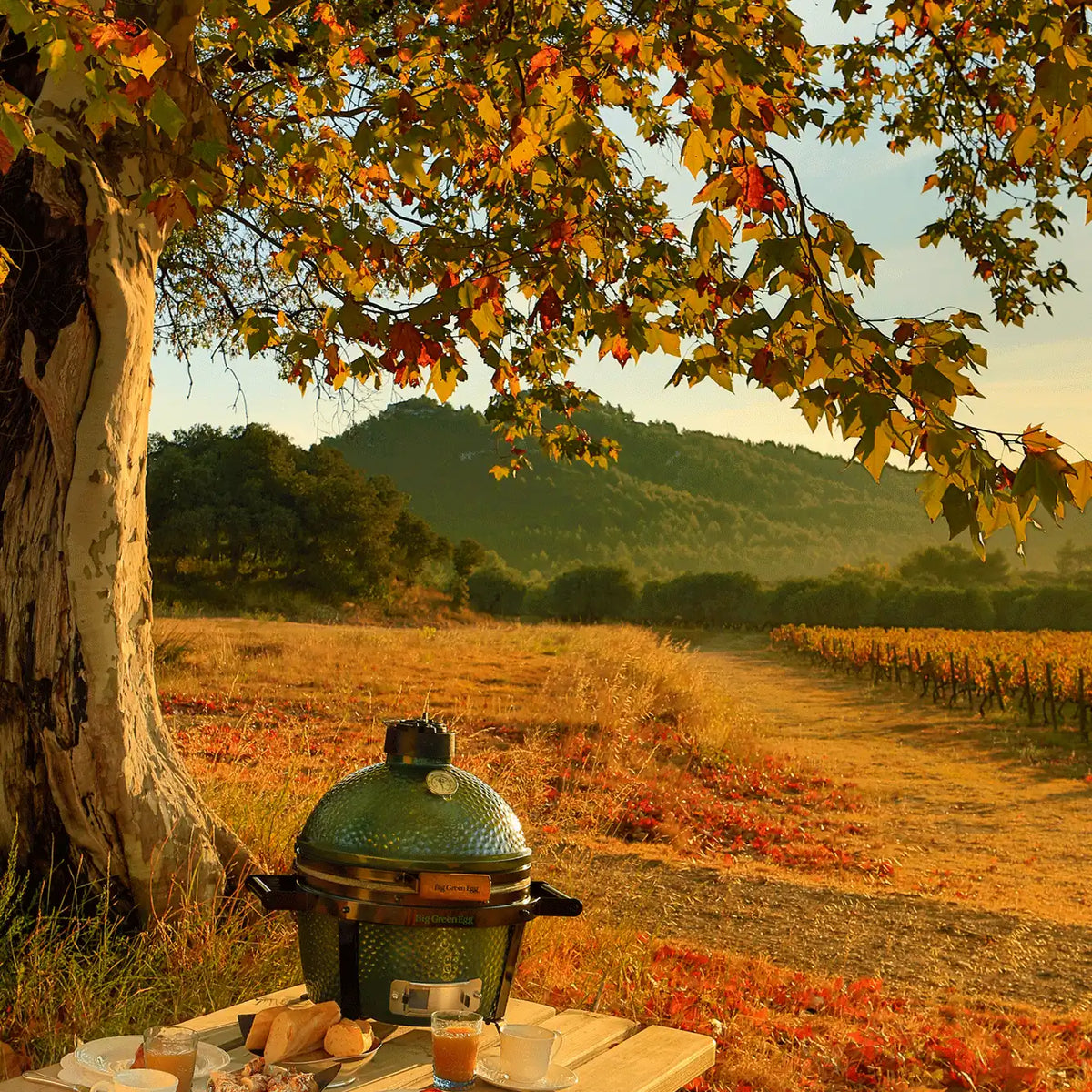 Big Green Egg MiniMax Ceramic Kamado Grill Package