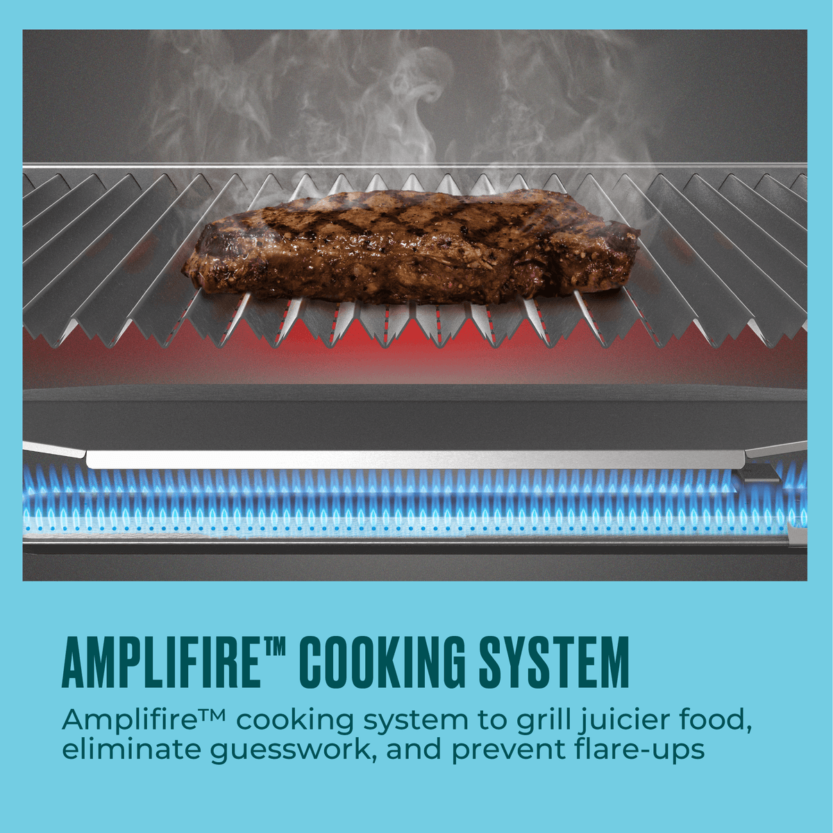Char-Broil Grill2Go X200 Portable Gas Grill