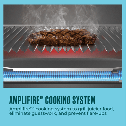 Char-Broil Grill2Go X200 Portable Gas Grill