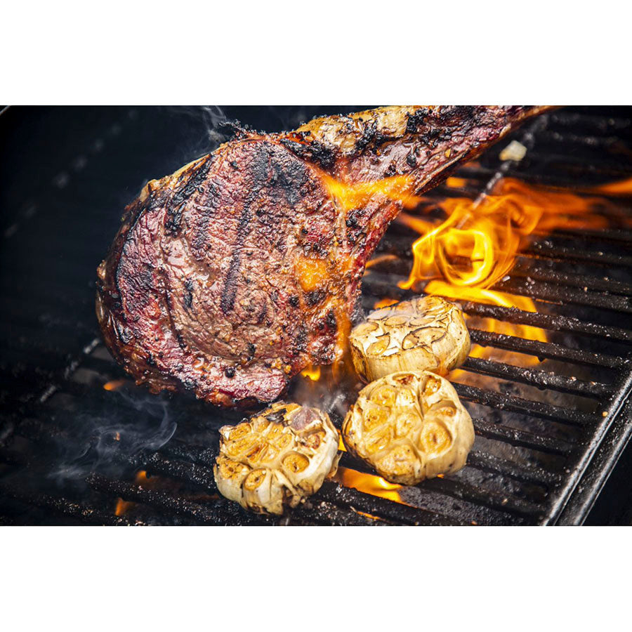 Pit Boss Pro Series 3 1600 Wood Pellet Grill
