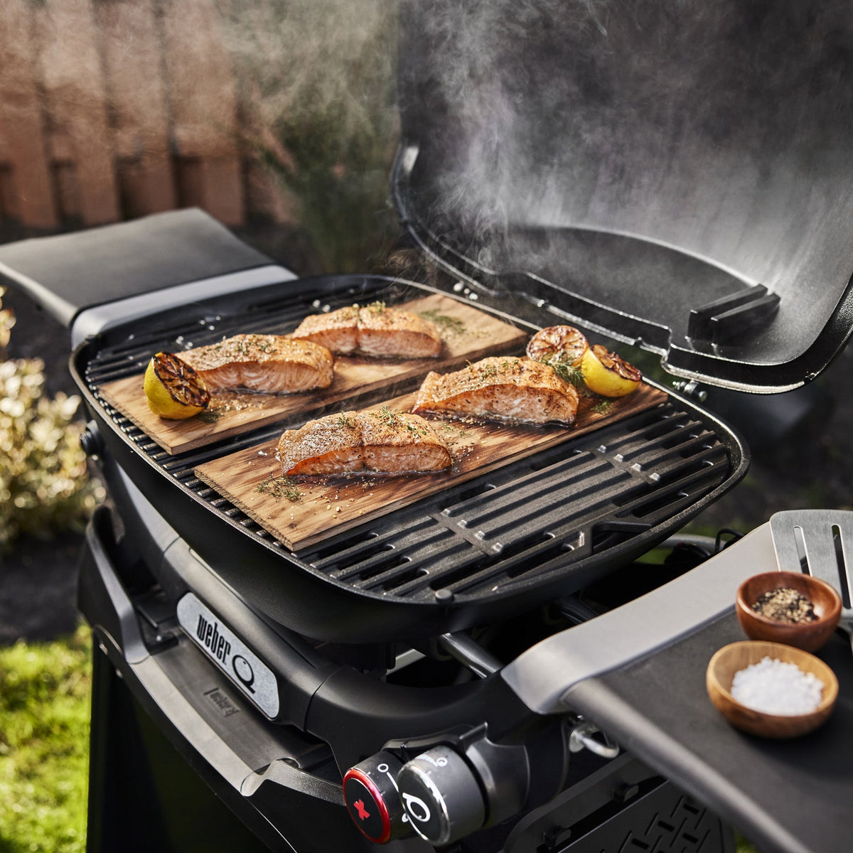 Weber Q 2800N+ Gas Grill with Stand (Liquid Propane)