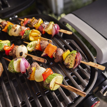 Weber Q 2800N+ Gas Grill (Liquid Propane)