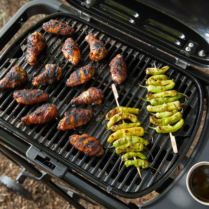 Weber TRAVELER® COMPACT Portable Gas Grill