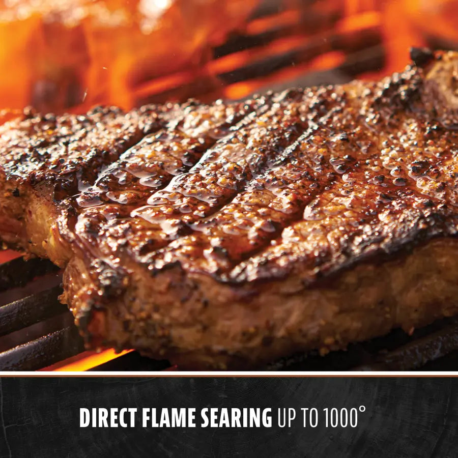 Pit Boss Portable Pit Stop Grill - Onyx Edition