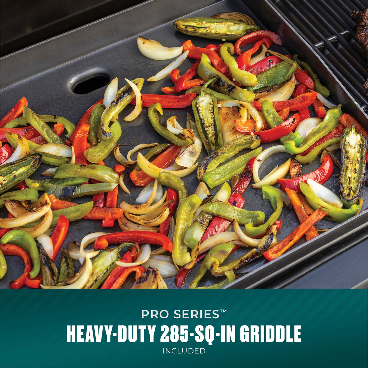 Char-Broil Pro Series 2 Burner Gas Grill & Griddle