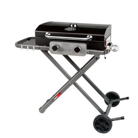 Expert Grill Portable 2-Burner Propane Gas Grill with Folding Legs, Black