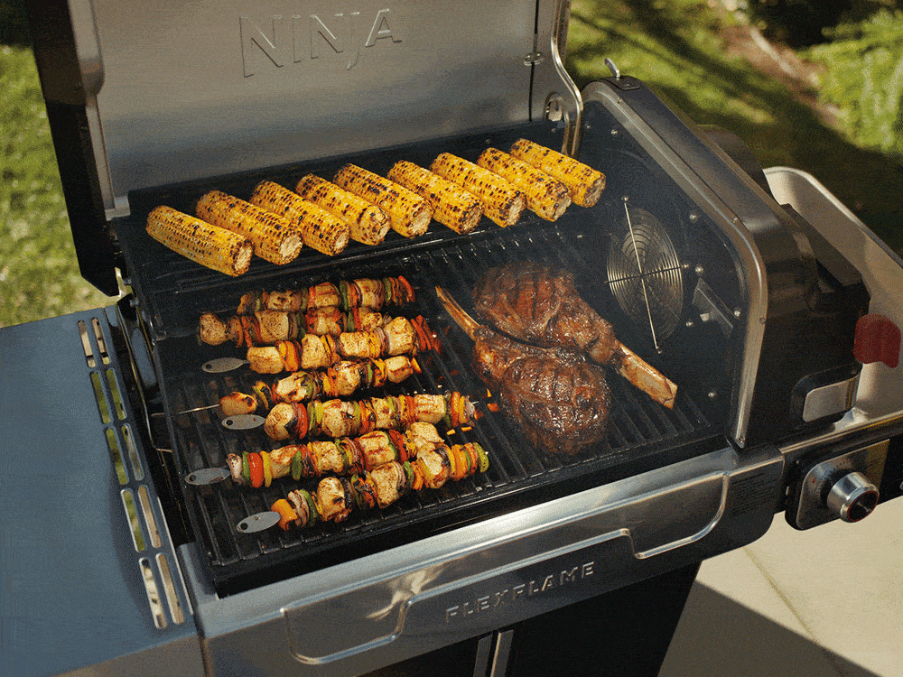 Ninja™ FlexFlame™ Grill and Smoker